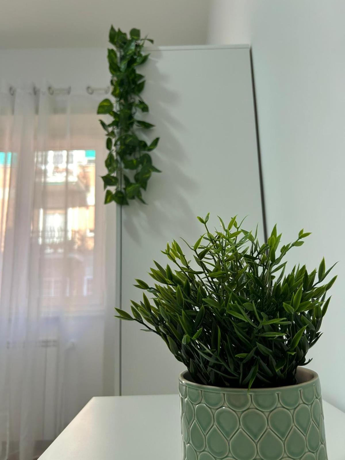 A & F Apartment ローマ エクステリア 写真